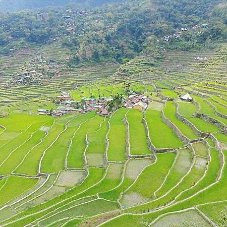 Banaue Transient House Bed And Breakfast מראה חיצוני תמונה
