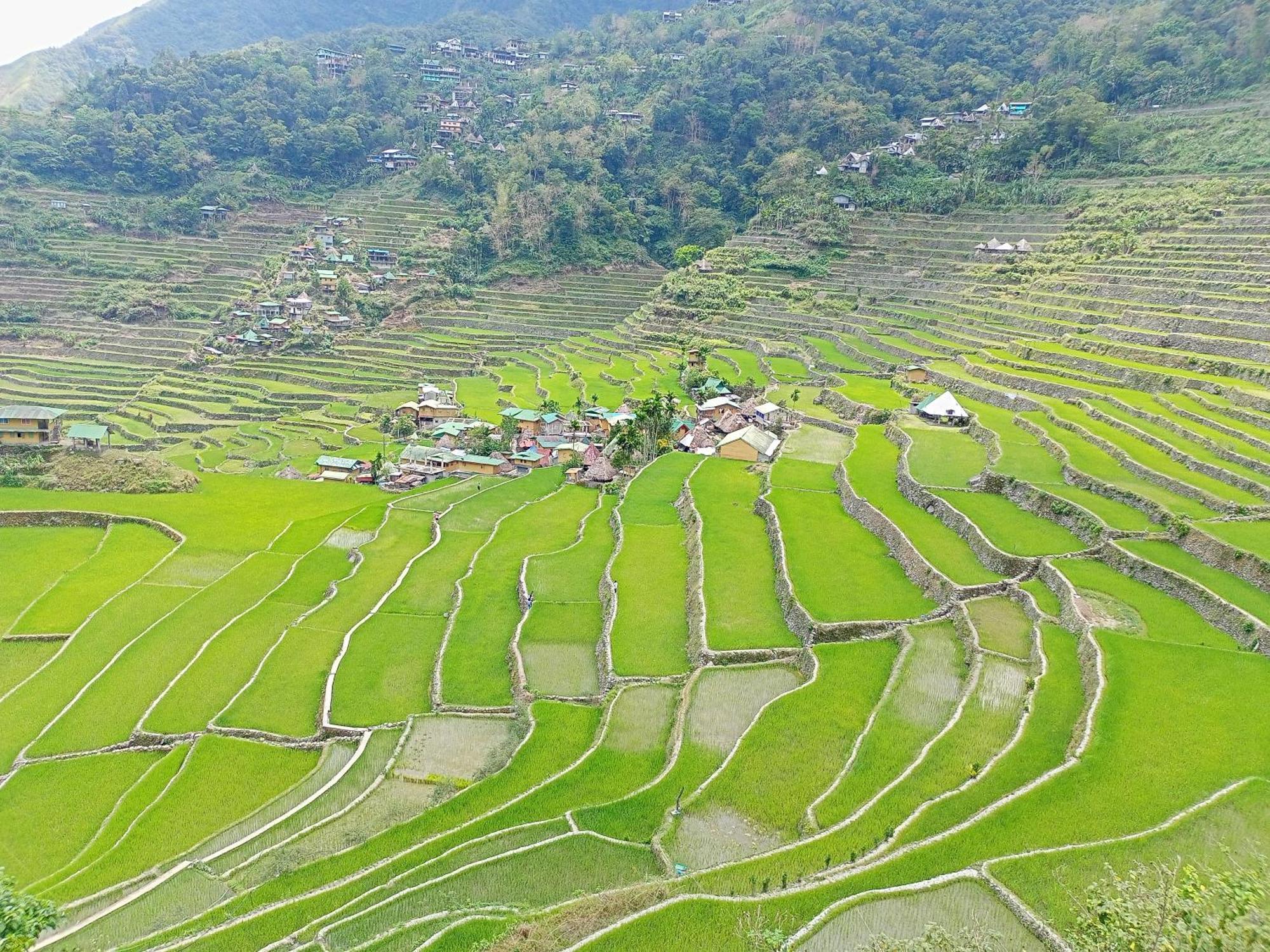 Banaue Transient House Bed And Breakfast מראה חיצוני תמונה